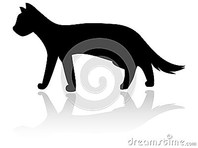 Cat Silhouette Stock Photo