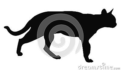 Cat silhouette Vector Illustration