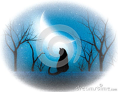 A Cat is sit uder the moon light Stock Photo