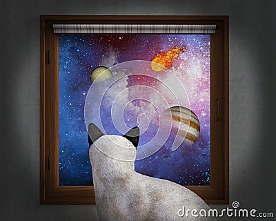 Cat Sit Window, Stars, Planets Stock Photo