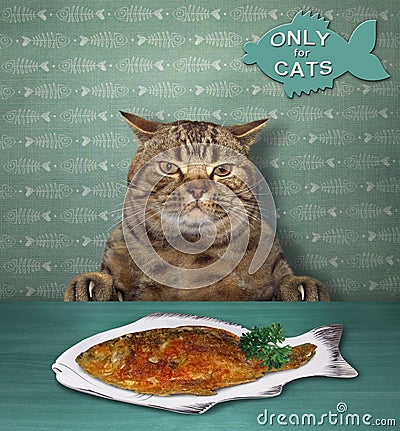 Cat and fried fish Stock Photo