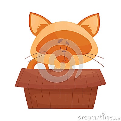 Cat Sitting Inside Cardboard Box Peeping Out Vector Illustration. Curious Kitty and Carton Box Vector Illustration
