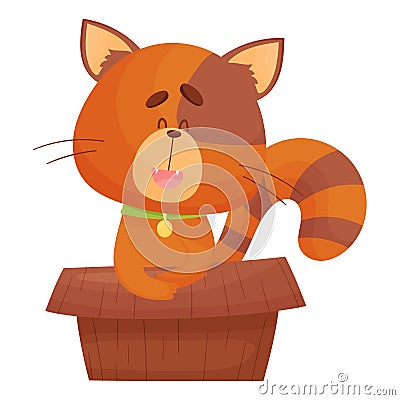 Cat Sitting Inside Cardboard Box Peeping Out Vector Illustration. Curious Kitty and Carton Box Vector Illustration