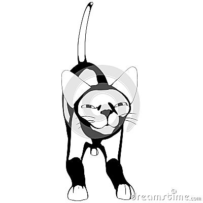 Cat sketch on a white background. Sphynx silhouette vector Vector Illustration