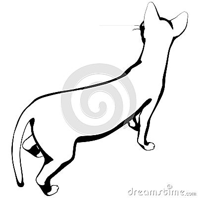 Cat sketch on a white background. Sphynx silhouette vector Vector Illustration