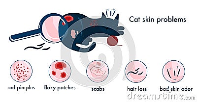 Cat skin problems.Infographics icons with different symptoms, allergy,itching and scabs.Feline healthcare. Vector Illustration