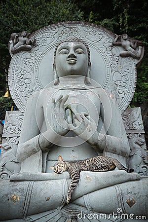 Cat sleeping on lap Buddha statues. Stock Photo