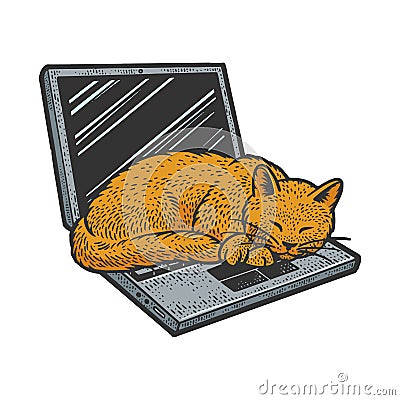 cat sleeping on laptop sketch vector illustration Vector Illustration