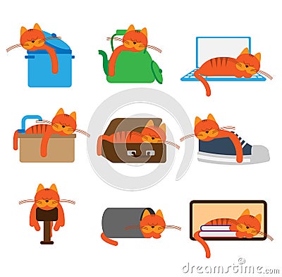 Cat sleeping in unusual places. Vector Illustration