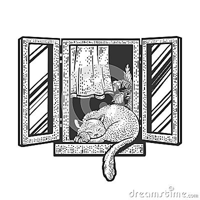 Cat sleeps on window sketch vector illustration Vector Illustration