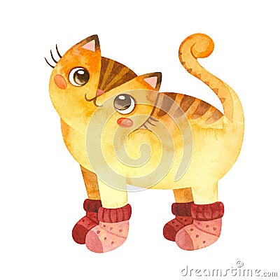 Cat in small knitted socks. Cute kitten character. Mascot of goods for pets. Cartoon Illustration