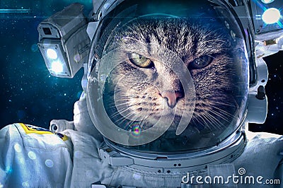 Cat in space Stock Photo