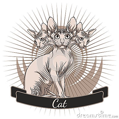 Cat of the Sphynx breed. Vector Illustration