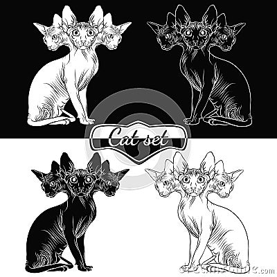 Cat of the Sphynx breed. Vector Illustration