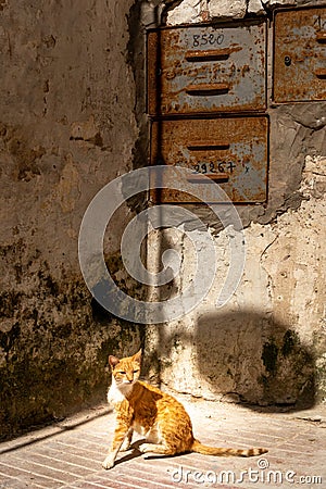 Mellah district in the medina of Essaouira Stock Photo