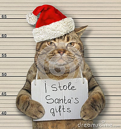 Cat stole Santa`s gifts Stock Photo