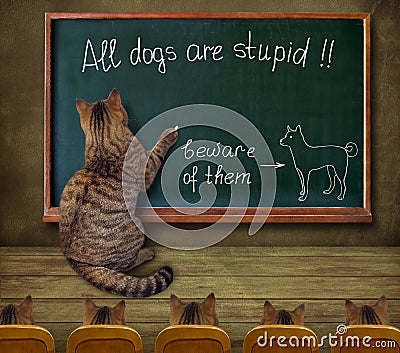 Cat teacher writes on a blackboard Stock Photo