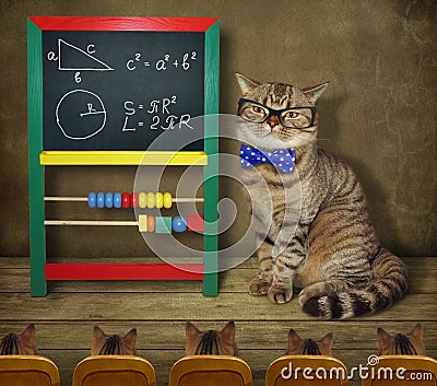 Cat with his students 2 Stock Photo