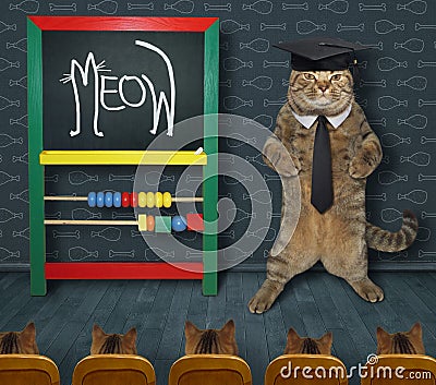 Cat teacher wrote meow 3 Stock Photo