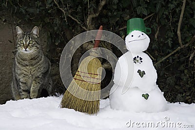 Cat and tiny snowman with broom and green plastic cap. Striped cat and snowman. Stock Photo