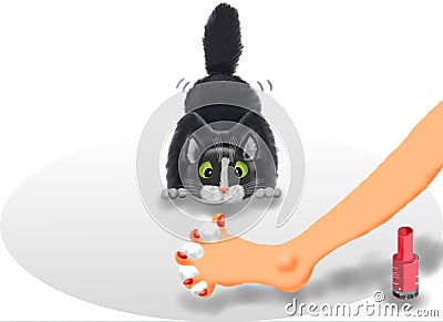 Cat and toenails Stock Photo