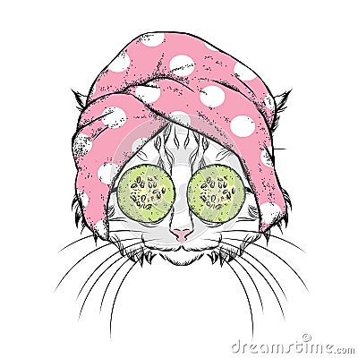 A cat in a towel and with cucumber on his face. Vector illustration. Beauty and spa treatments. Fashion & Style. Funny kitten. Vector Illustration