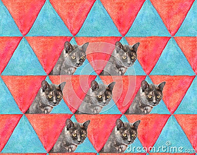 Cat on triangles multicolored background. Duplicate the grey female cat in the picture. Watercolor and photo as pop art style for Stock Photo