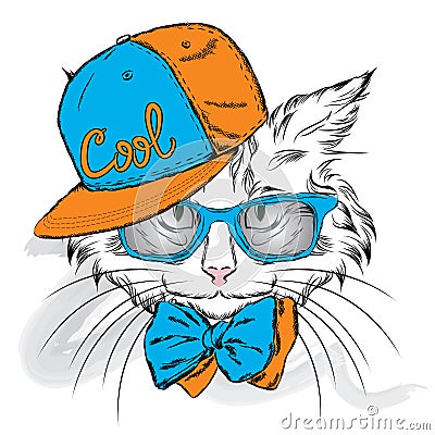Cat vector. Cartoon cat. Cute cat in the clothes. Hip-hop. Cat in a cap and glasses. Hipster. Postcard with the cat. Vector Illustration