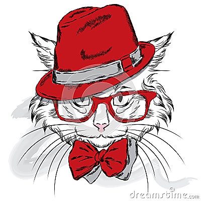 Cat vector. Cartoon cat. Cute cat in the clothes. Hip-hop. Cat in a cap and glasses. Hipster. Postcard with the cat. Vector Illustration