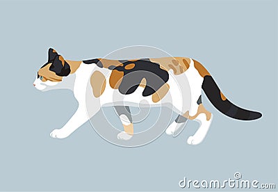 Cat vector color illustration kitty flat design Vector Illustration