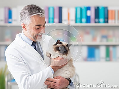 Cat at the veterinary clinic Stock Photo