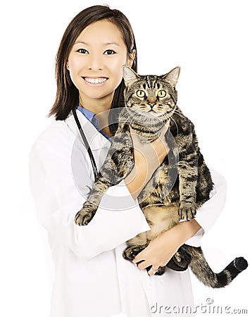 Cat and veterinary doctor Stock Photo