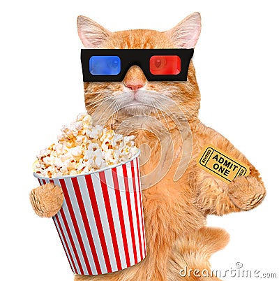 Cat watching a movie Stock Photo