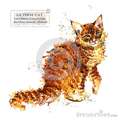 cat. watercolor home pet illustration. Cats breeds series. domestic animal. Cartoon Illustration