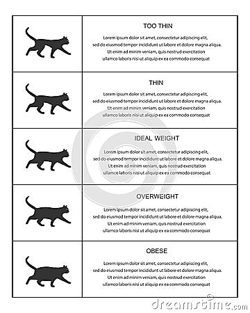 Cat weight chart in infographic table. Kitties silhouettes with normal and abnormal body condition. Thin, ideal Vector Illustration