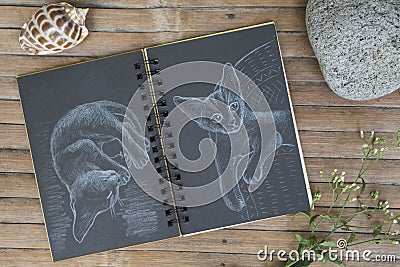 Cat by white chalk on black paper. Black paper notepad on wooden background. Cartoon Illustration