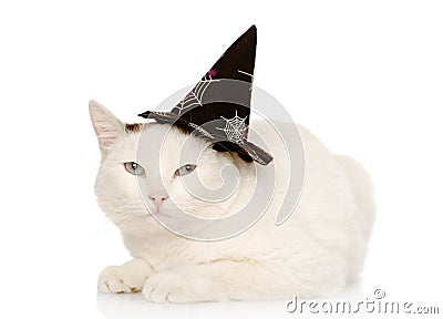 Cat with witch hat for halloween. on white background Stock Photo