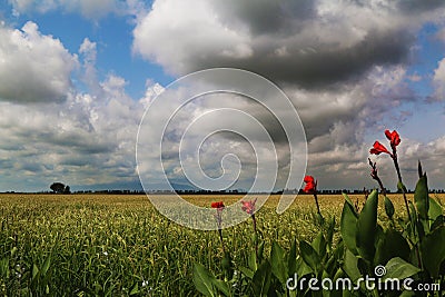 Catalonia, Spain nature and landscapes. Europe Travel. Wanderlust. Stock Photo