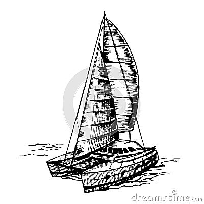 Catamaran sailboat monochrome vector Vector Illustration