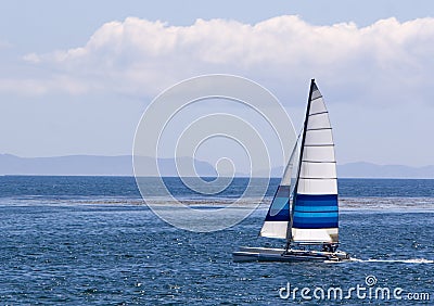 Catamaran Sailing Stock Photo