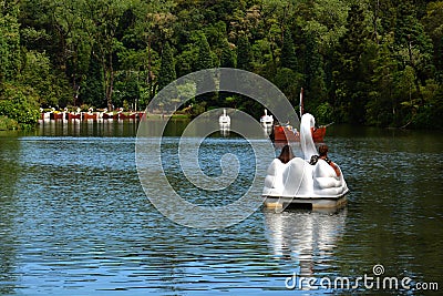 Catamarans in the shape of swans on Black Lake, Lago Negro, in Gramado, Brazil Editorial Stock Photo