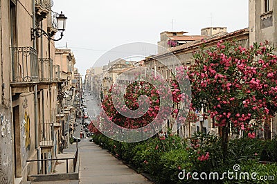 Catania Street Scene Stock Photo