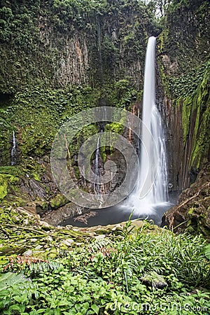 Catarata del Toro Waterfall Stock Photo