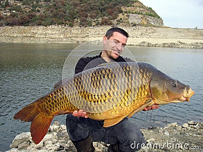 Catch of fish. Common carp Stock Photo