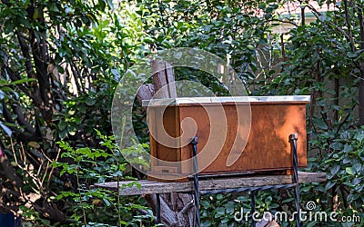 A catch hive to attract swarming bee colonies Stock Photo