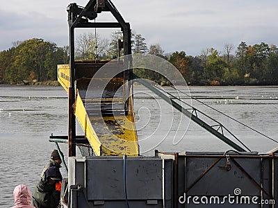 catching and selling carp on the pond dam Editorial Stock Photo