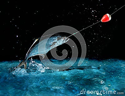 Catching a big fish at night Stock Photo