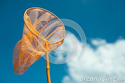 Catching the butterflies Stock Photo