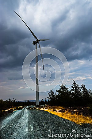 Catching the wind Stock Photo