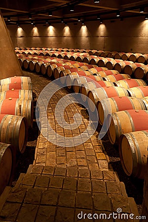 Catena Zapata Vineyard Mendoza Argentina Editorial Stock Photo